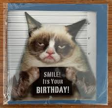 These are the best happy birthday wishes for cats. Grumpy Cat Happy Birthday Card Hobbies Toys Stationery Craft Occasions Party Supplies On Carousell
