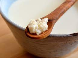 How To Store Kefir Grains When You Re Taking A Break From Kefir Kefirko