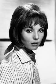 Elsa Martinelli 🌟 6.4