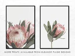 Protea Printable Wall Art Australian Native Flower Home Decor Print Botanical Floral Photography Poster Printable Wall Art Wall Art Floral Wall Art