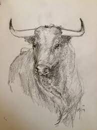Dibujo Cabeza De Toro Bravo Tito Abellan Dibujos De Toros Silueta De Toro Toros De Lidia