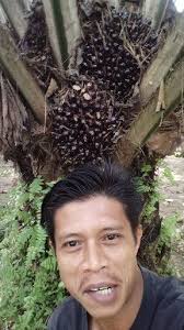 Lisod man maghimo ug content Pero ok Ra makaya Ra mga idol👍,  #labanlangmgaidol, #alwayspadayonlangmgaidol