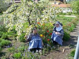Je nach mondphase, dem sternzeichen, in dem es sich befindet, werden günstige tage berechnet! Tipps Zu Aussaat Und Pflanzung Marz April Beetfreunde De