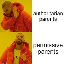 It's 2020 and there's no shortage of memes sweeping the internet. Drake Hotline Bling Meme Imgflip