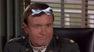 What's New Poodle Dog