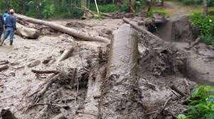 Saat ini, ada sekitar 229 hotel yang dapat kamu pesan di gunung mas agro. Liungxhgpfentm