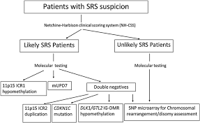 flow chart detailing the molecular testing orientation when