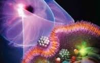 Looking for scientific cover art? Check our vivid and ...
