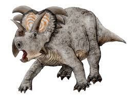 He was not a normal dragonet, not from the start, he was strange. Medusaceratops Lokii Wikispecies