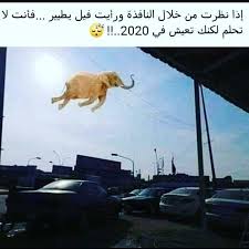 967 likes 9 comments 1m nkt j0 on instagram funny joke quote fun quotes funny funny arabic quotes