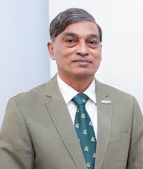 Executive Director's Report 2023