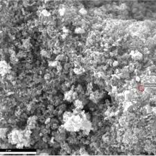 SEM image of trimetallic