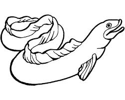 Eel coloring page that you can customize and print for kids. European Conger Eel Coloring Page Color Luna Animal Coloring Pages Ocean Coloring Pages Sea Animals