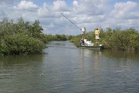 5 Great Spots For Saltwater Fishing In North Florida