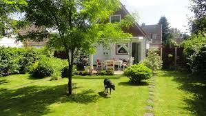 Der Garten Ferienhaus Hund Ferienhaus Mit Hund Deutschland Ferien