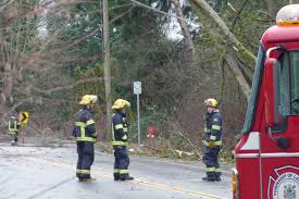 Hall 7 emergency photography 1.094 views1 year ago. 5 To Start Your Day Surrey Now Leader
