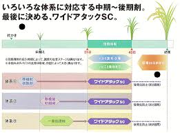 ワイドアタックsc