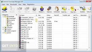 The functions of internet download manager are really a lot and to know them you have to download the application, you will not regret. Internet Download Manager 6 15 Free Download