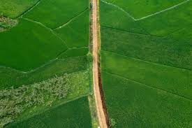 Should I Sell My Land? A Guide to Selling Raw Land - Landopia