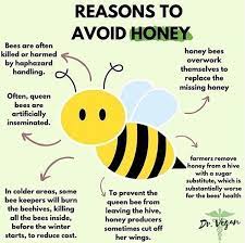Vegans Knowledge On Instagram We Don T Need Honey It S Not Ours To Take Vegan Diet Recipes Why Vegan Vegan