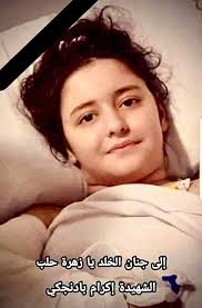 آل ؛؛ بادنجكي ؛؛ وكل ؛؛ حلبي ؛؛