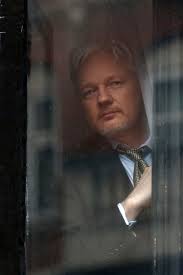 He is a producer and director, known for mediastan (2013), collateral murder (2010). Wikileaks Julian Assange May Be A Free Man Soon After 5 Years