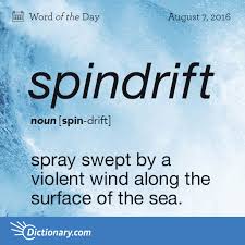 Spindrift Word Of The Day Dictionary Com Words Uncommon Words Unusual Words