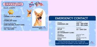Address:34, jalan 2, 46100 petaling paya, selangor darul ehsan. M Sia S First Ever Pet Ic Will Help Keep Your Furbaby Safe If It Ever Goes Missing Trp