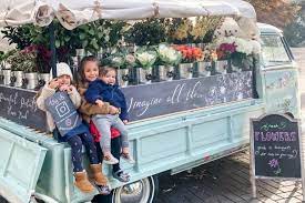 We did not find results for: Posts In Flowers By Donna Blog