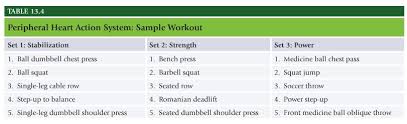Nasm Chapter 13 Resistance Training Concepts The Healthy