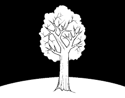 Un árbol de fresno tiene una estructura de hoja compuesta en lugar de una sola estructura de hoja. Dibujo De Fresno Para Colorear Dibujos Net
