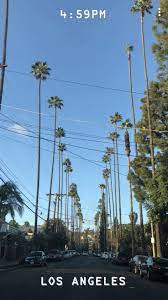 Los Angeles Kalifornien Beverly Hills Hollywood Calabasas Palmen Palmei Kopfschmerzen California Wallpaper Los Angeles Wallpaper Los Angeles Travel