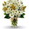 Maybe you would like to learn more about one of these? Top 939 Avas Flowers Reviews Page 2