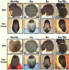 Hair Type Chart For Black Women Black Natural Hair Types