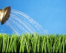 When you water grass, apply about 1 inch of water. Effective Tips For Watering Your Lawn Green Lawn Fertilizing