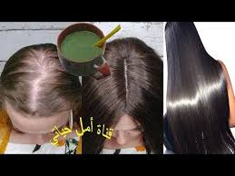 وصفه هندية لتطويل وتكثيف الشعر بسرعة تطويل الشعر مجربة ومضمونة 100 Youtube Hair Beauty Hair Flower Makeup