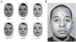 Show Me What You Got”: The Nomological Network of the Ability to Pose  Facial Emotion Expressions