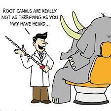 Ali On Instagram Endodontist Endodontics Endodontics Rct Rootcanal Dental Dentistry Dentaly Dentist Den Dental Fun Dental Humor Endodontist