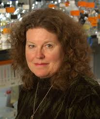 Seeking Answers Finding Hope