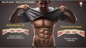 Post su allenamento addominali bassi a casa scritto da antoniomaldini2014. Addominali Bassi Come Allenarli Con 4 Esercizi Efficaci Project Invictus