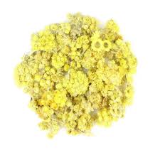 Image result for Helichrysum lastii