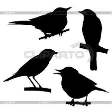 Sparrow Bird Sitting On Branch Stock Photos And Vektor Eps Bird Silhouette Shadow Drawing Silhouette