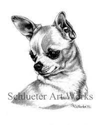 The Chihuahua Sketch Available In 8x10 Prints At Www Etsy Com Shop Gensart Come To See More Work By Pet Working Dogs Breeds Dog Illustration Dog Sketch