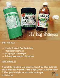 5 All Natural Diy Grooming How Tos For Your Pup Diy Dog Shampoo Dog Shampoo Homemade Dog Shampoo