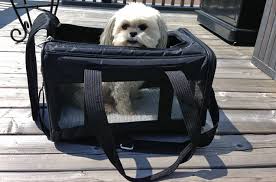 Sizing overview for sherpa® original deluxe pet carrier please note: Sherpa Original Deluxe Carrier Review Petguide