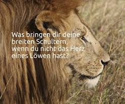 Was Bringen Dir Deine Breiten Schultern Wenn Du Nicht Das Herz Eines Lowen Hast Lowe Zitate Nachdenkliche Spruche Lebensweisheiten Spruche