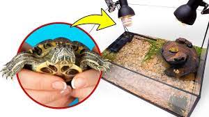 Der beste ort ist für die schildkröte deshalb ein separater kühlschrank. Ein Neues Selbst Gebautes Zuhause Fur Unsere Zwei Sussen Schildkroten Youtube