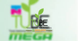 Latar belakang program tunas usahawan belia bumiputera ia tercetus sewaktu kongres usahawan muda bumiputera pada 27 29 mac 2014. Borang Permohonan Tube Mega 2021 Online Semakan Status
