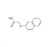 2-Naphthoxyacetic acid | 1X250MG | C12H10O3 | 674543 | 120-23-0