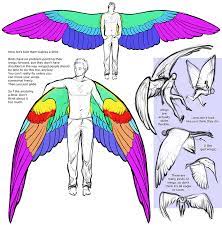 Http Imgarcade Com 1 Angel Wing Anatomy Wings Drawing Creature Drawings Human Drawing